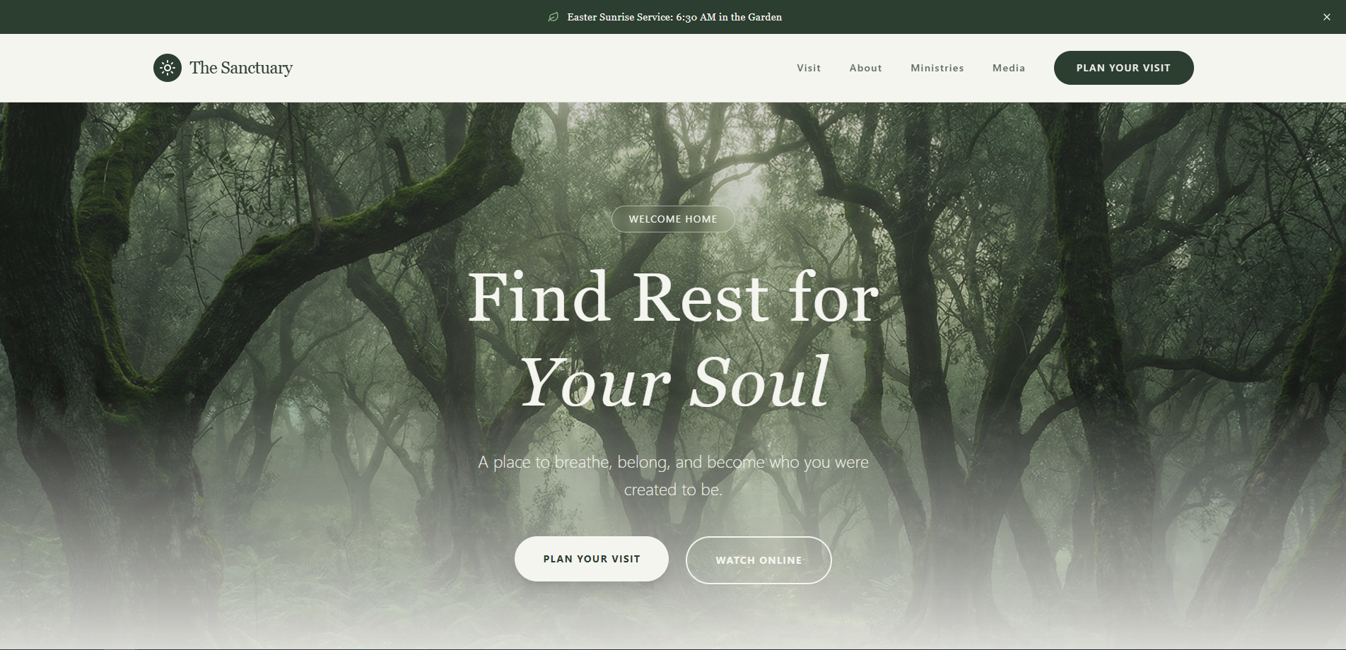 The Sanctuary Preview